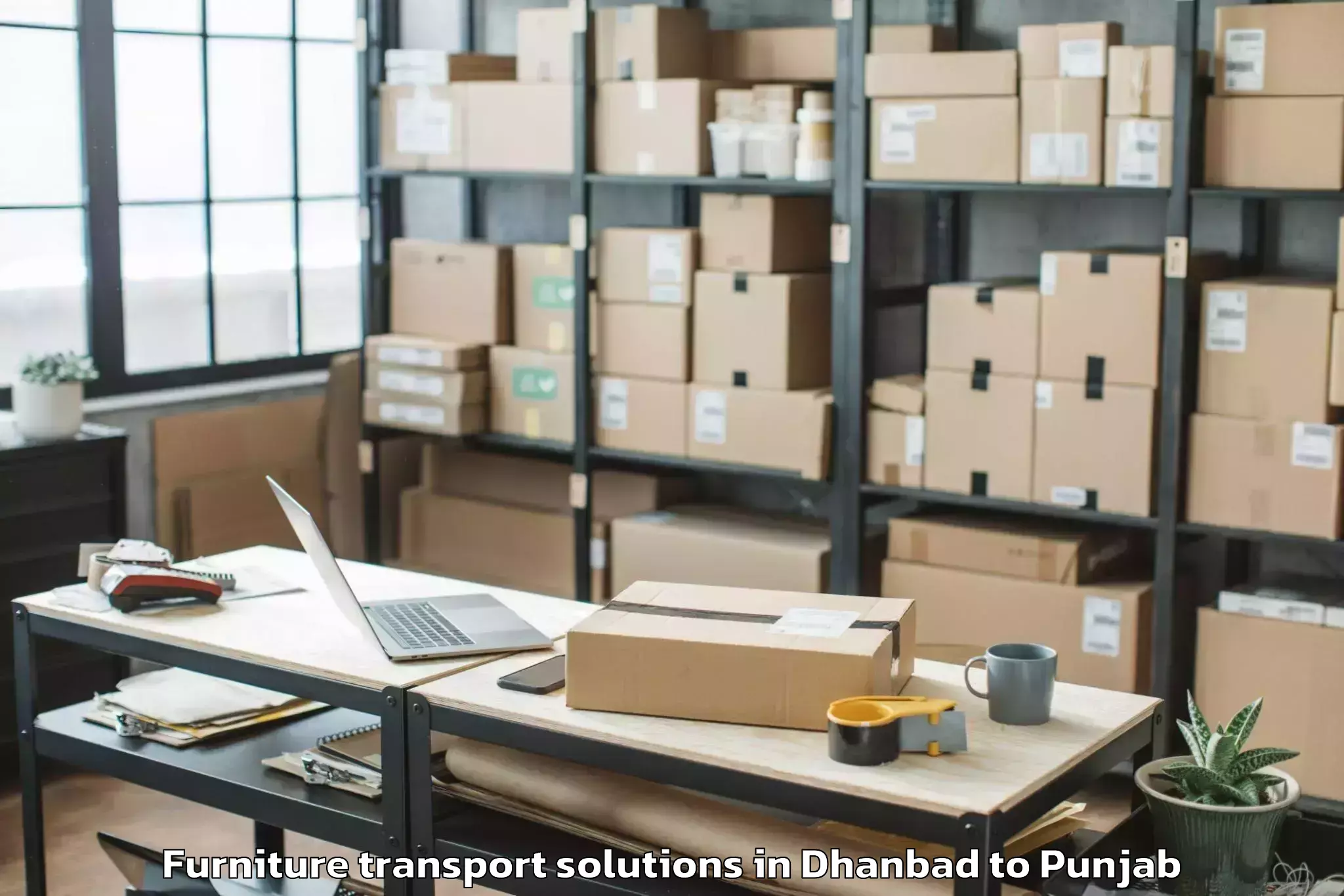 Top Dhanbad to Fazilka Furniture Transport Solutions Available